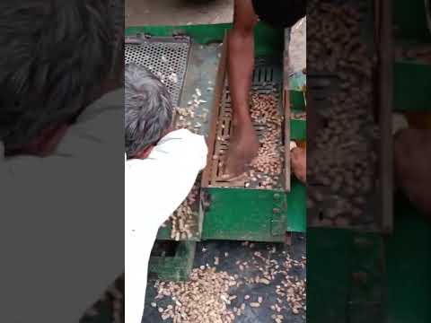 Groundnut combine thresher