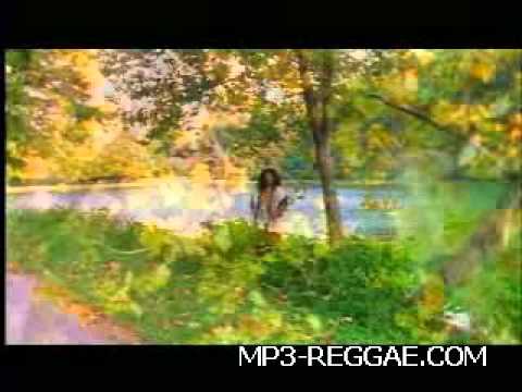 Capleton, Jah Cure, Morgan Heritage, LMS   MT  Zion Reggae Video  new songs dancehall ska roots