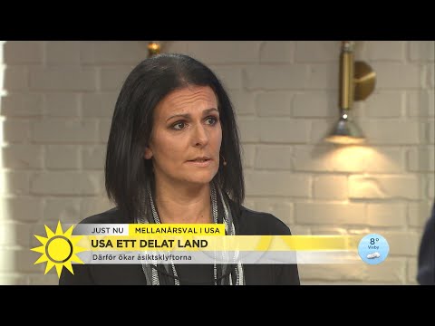 USA-forskaren: "En väldigt djup misstro och splittring i landet" - Nyhetsmorgon (TV4)