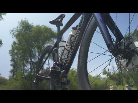 Toronto Hustle - Basso Venta