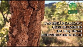 Miniatura do vídeo