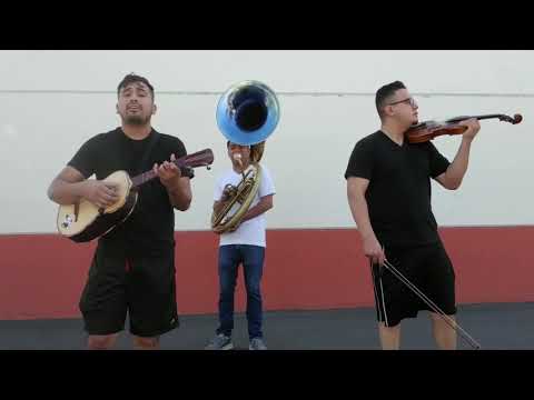 download lagu mp3 mp4 Perrilos, download lagu Perrilos gratis, unduh video klip Perrilos