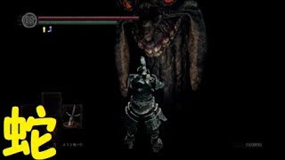 【ダクソ】パート２４「もう一つの可能性」【ダークソウルリマスター】