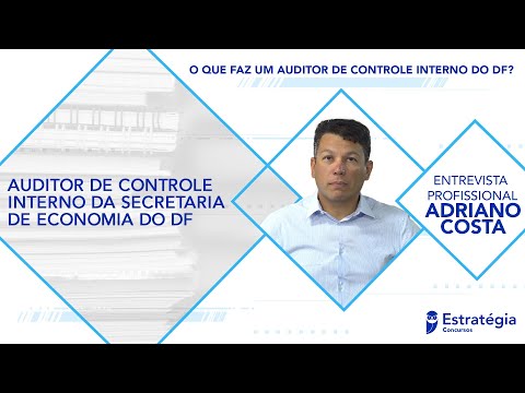 What does an Internal Control Auditor of the Federal District do?