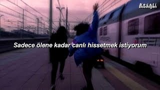 NF - WHY (Türkçe Çeviri)