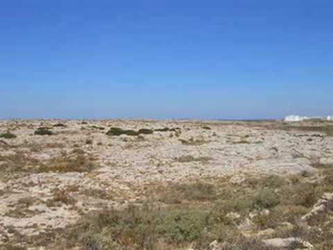 Loverush UK & Shelley Harland - Diff. World (Sapphirecut RM