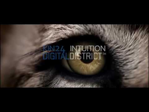 Kin 24 - Intuition  [ #Electro #Freestyle #Music ]