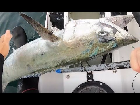 Xmas eve Spanish 145 at Palm Beach