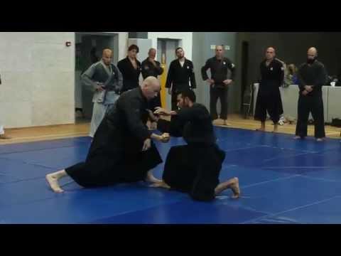 Ogyaku No kata - Koto Ryu for AKBAN wiki