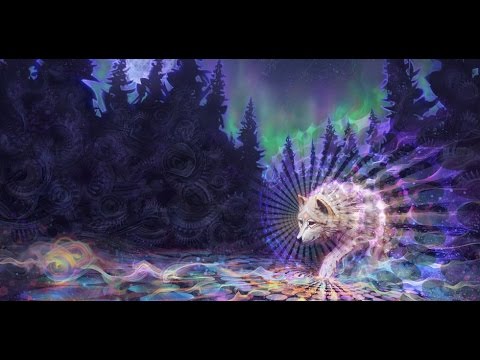 The Psychedelic Experience - Terence Mckenna, Graham Hancock, Jeremy Narby