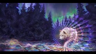 The Psychedelic Experience - Terence Mckenna, Graham Hancock, Jeremy Narby