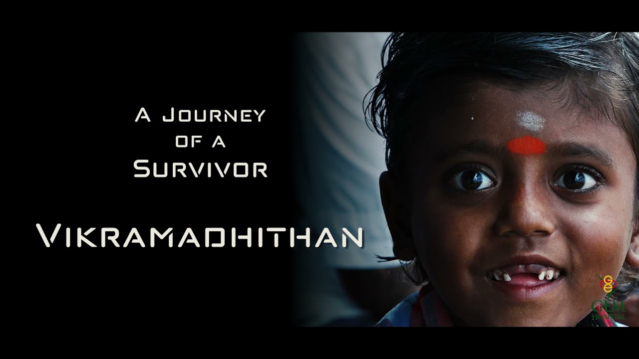 The Journey of the Survivor - Vikramadhithan