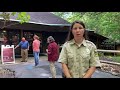 Bays Mountain Park What To Know On June 1