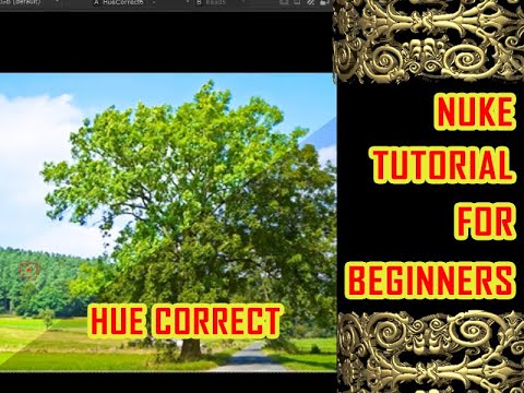 color correction in nuke | green screen remove with hue in nuke | color grading in nuke |