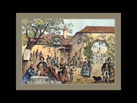 Dietrich Schrammeln - Fideles Wien