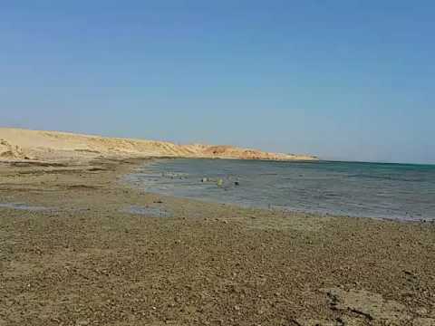 Spiaggia di Marsa Alam all'Eden Village Gemma Beach Agosto 2016.