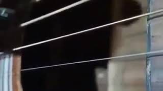 Download lagu Tutorial petikan gitar  (peterpan semua tentang kita) mudah banget mp3