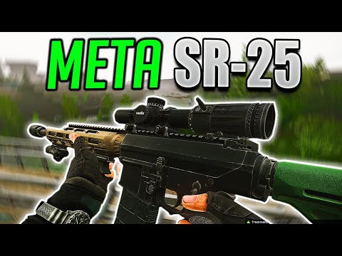 META SR-25 is Still NUTS... Tarkov SR-25 Build & Raids