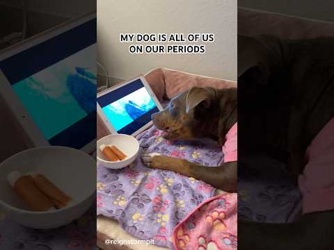 💔🐾 My Girl Wasnt Feeling Good, Shes Okay Now. #dog #dogmom #pitbull #cute #dogtips #viral