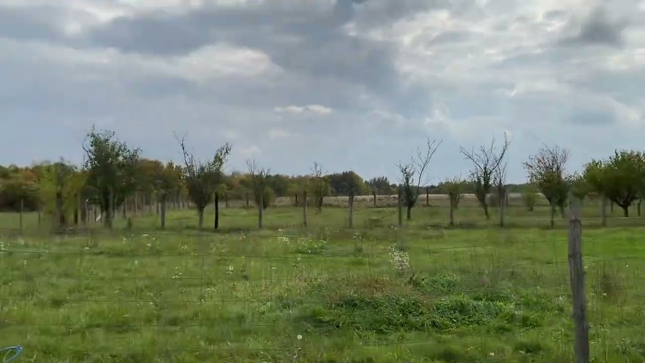 Tur video Smeura | Teren 460 mp | Deschidere 4,12 m | 
