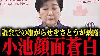 【小池百合子】さとうさおりが小池都政による議会での嫌がらせを暴露！小池大慌て【小池都知事 都議会 カイロ大学 学歴詐称疑惑】