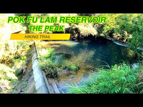 Reservatório Pok Fu Lam até a caminhada no pico | Cenário natural | Como chegar | Caminhadas em Hong Kong