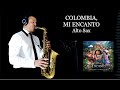 COLOMBIA, MI ENCANTO - Lin-Manuel Miranda - Alto Sax - Free score