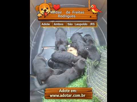 Vídeo de Valdair de Freitas Rodrigues