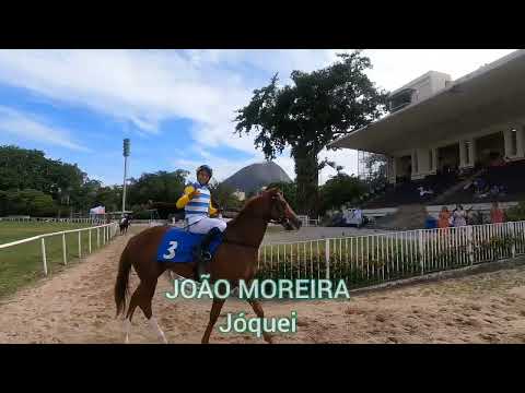 Club Hipico e J. Moreira, 281 falando de turfe