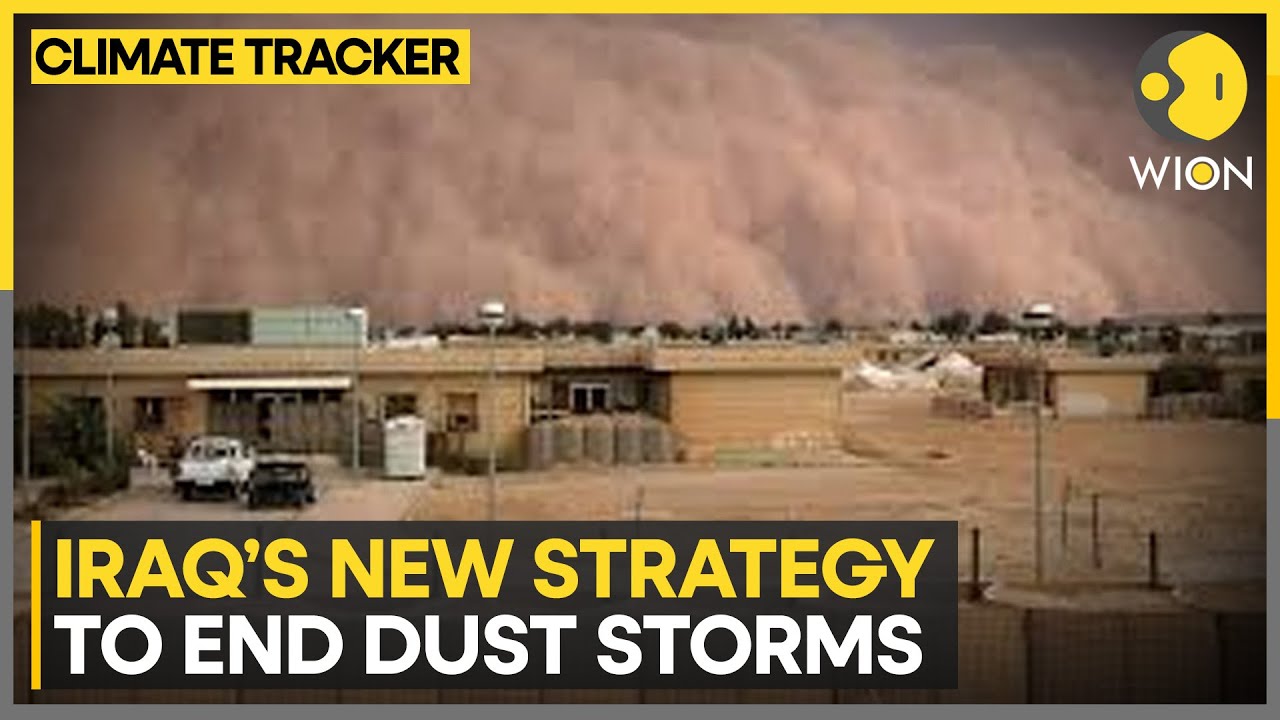 Iraq Fights Desertification With Green Plan | Climate Tracker | WION