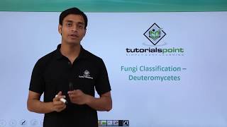 Class 11th – Fungi Classification – Deuteromycetes | Biological Classification | Tutorials Point