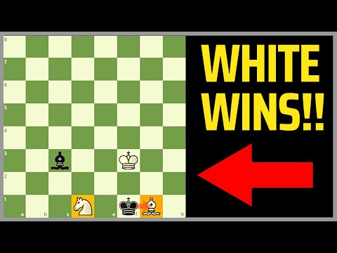 Stop What You're Doing And Watch This Puzzle