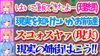 【理想と現実】リスナーが想像する『理想の姉街』とは正反対(?)の『現実の姉街』を叩きつけてリスナーの理想像を破壊するすいちゃんw【ホロライブ切り抜き/星街すいせい/ホロ鯖サマーパーク】