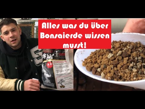 BONSAI BASICS: Plants and bonsai soil. Everything you need to know. DIY bonsai instructions for b...