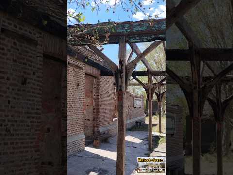 En esta estación... ¡paran trenes! | La Noria #trenesargentinos #canalmarcelogreco #lineagralroca