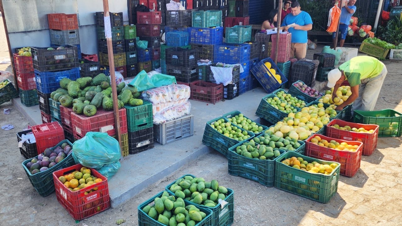 A CEACA EM CARUARU-PE TEM PREÇO COMO VOCÊ NUNCA VIU!