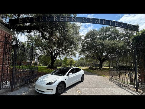 Tesla Catches So Many Ghost. Ghosts Surround My Husband When He Gets In And Out Of The Car.
