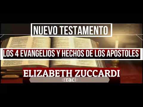 capítulo 75 curso bíblico RECORRIDO POR LAS SAGRADAS ESCRITURAS LOS CUATRO EVANGELIOS