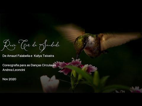 Roxa Cor da Saudade  - parceria Kátya Teixeira e Amauri Falabella