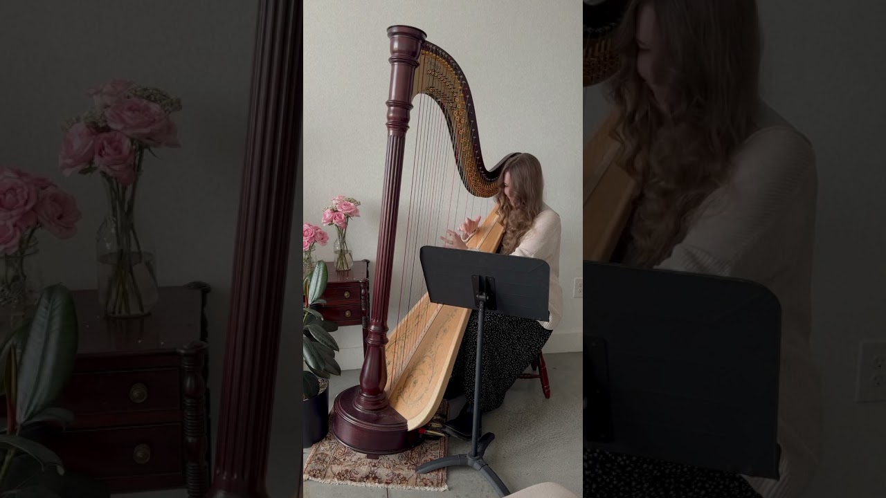 Promotional video thumbnail 4 for Lynden’s Harp Music