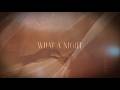Robin Beck - "What A Night" (Official Lyric Video)