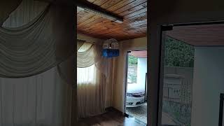 curio fronteira  405 - Galador- Genotipado