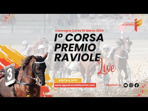 Live I° Corsa del 16 Marzo 2024 - 5 Anni ed oltre - Metri 2000
