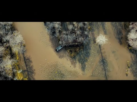 Chêne Presents | Reelfoot Religion