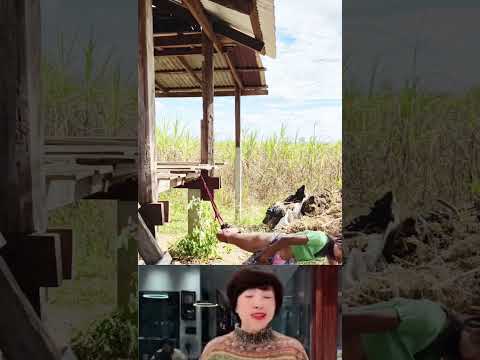 Bất cẩn quá #music #love #song #coversong #singersongwriter #youtubeshorts #funny