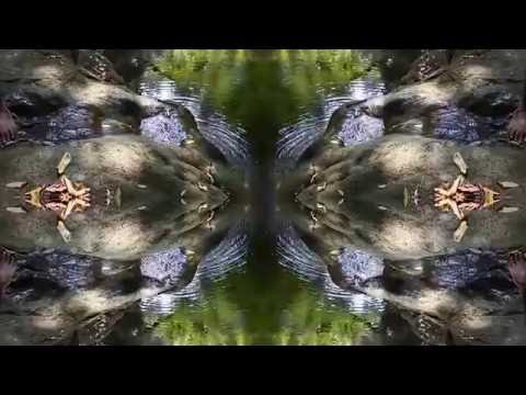 The Eternal Walker by Danushka Marasinghe