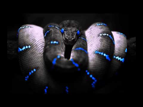 Miley Cyrus: Wrecking Ball vs Blasterjaxx: Snake (DjBeats Mash Up/Remix)