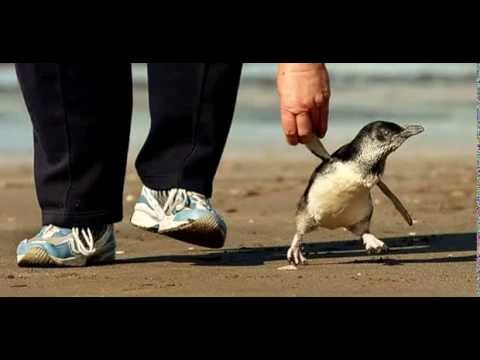 Cypress Hill x J Capri - Pull Up To Mi Bumper (DJ Maars Edit)