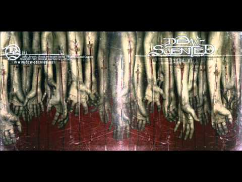 Rituals of Time - Dew-Scented