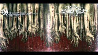 Rituals of Time - Dew-Scented
